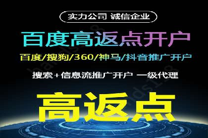 解析百度搜索推广的广告投放策略及效果